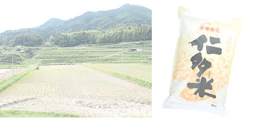 奥出雲の仁多米との出会い