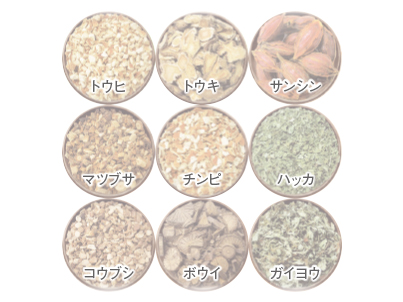 医薬部外品 薬用入浴剤 生薬の湯EX